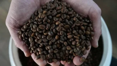 Grãos de café que representam as exportações capixabas