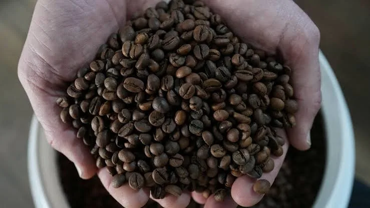 Grãos de café que representam as exportações capixabas