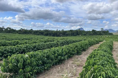 Serra terá palestra sobre efeitos do El Niño na agricultura e na pecuária