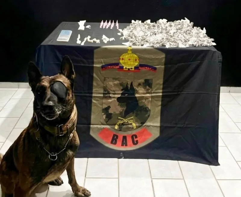 Cão farejador da PM encontra drogas em Jaguaré