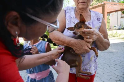 Antirrábica: Serra já vacinou mais de 41 mil animais e terá nova etapa