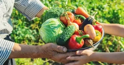 Alfredo Chaves destina R$ 175 mil à compra de alimentos da agricultura familiar