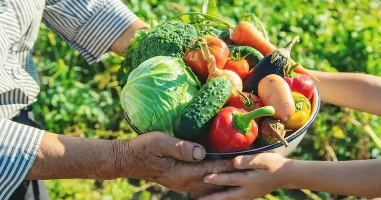 Alfredo Chaves destina R$ 175 mil à compra de alimentos da agricultura familiar