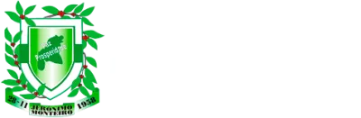 Câmara de Jerônimo Monteiro pauta projetos para café, esporte e tarifa social
